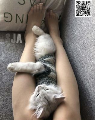 优美影院_蓝光神马影院在线