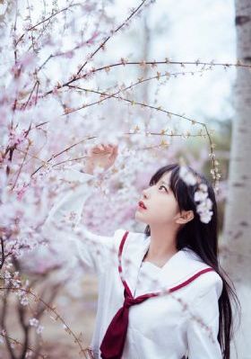 韩剧《完美的妻子》免费观看_高清电影完整版在线观看